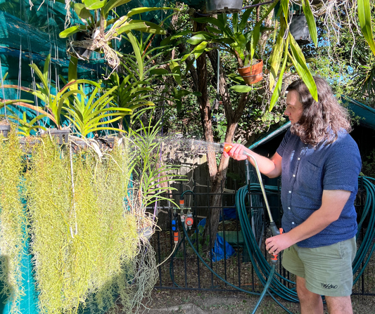 Watering Your Orchids