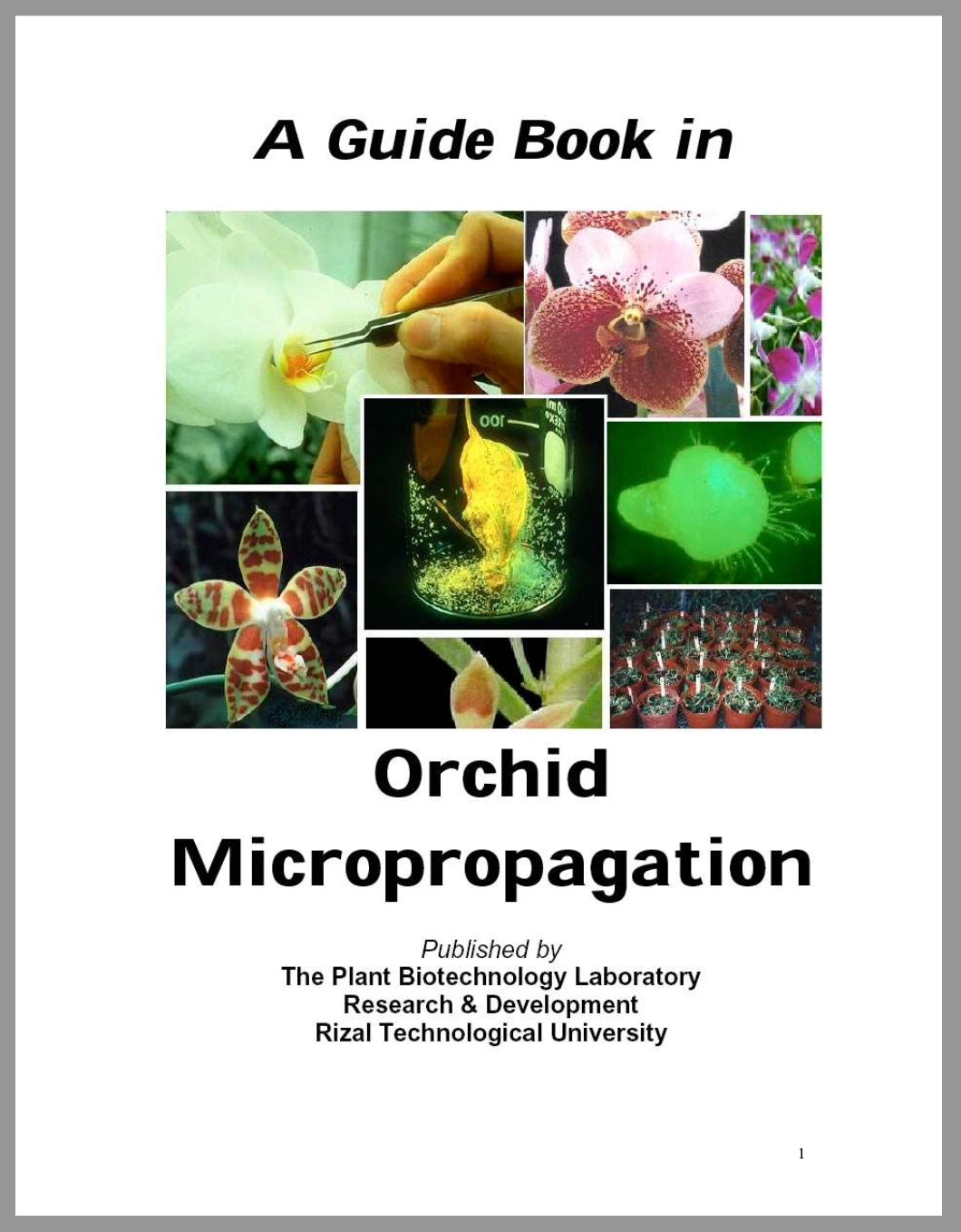 A Guide In Orchid Micropropagationis