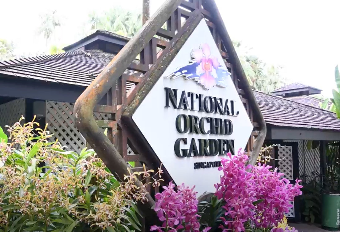 National Orchid Garden Singapore - Video Tour