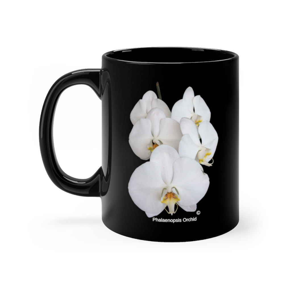 Phalaenopsis Orchids