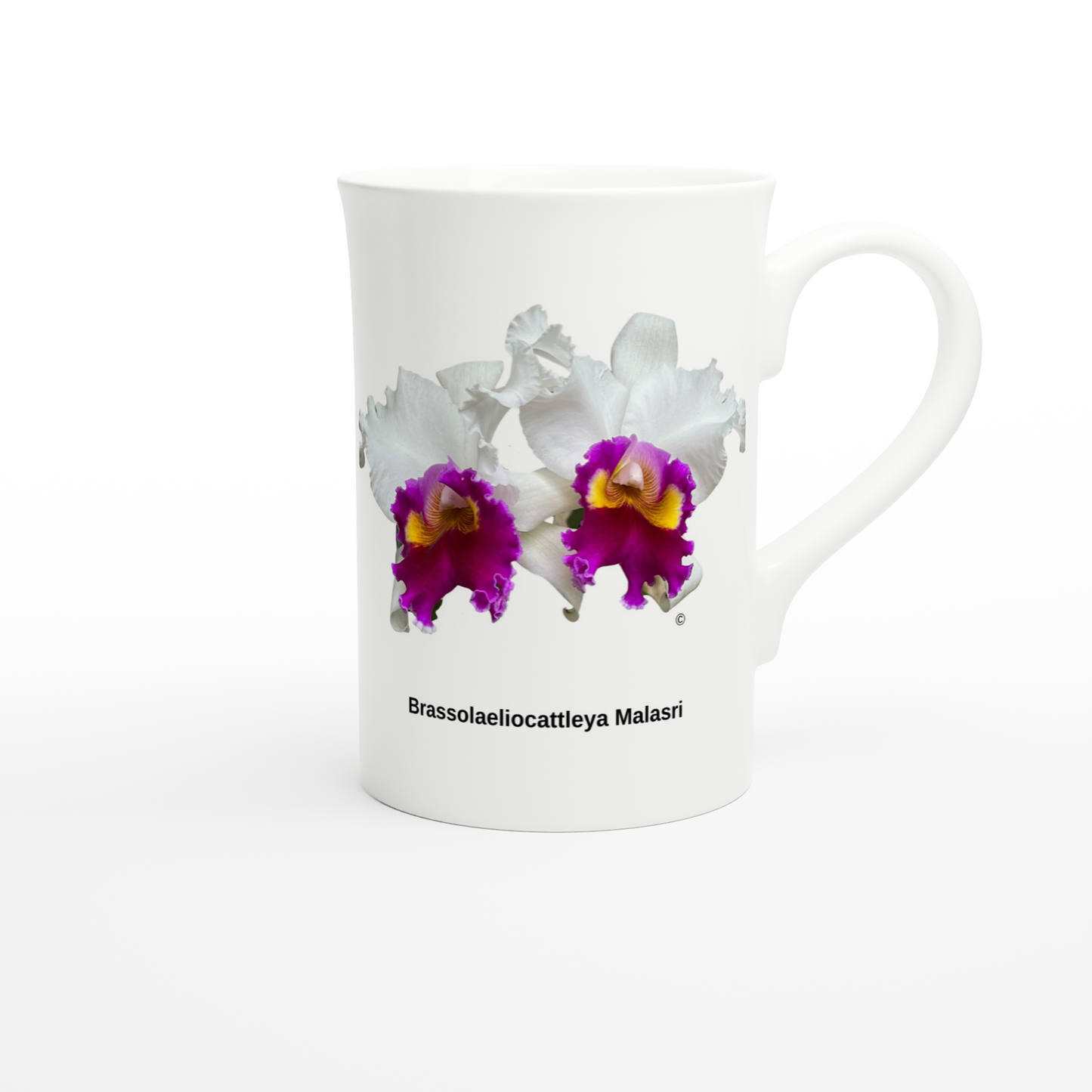 Brassolaeliocattleya Malasri Orchid Porcelain Mug