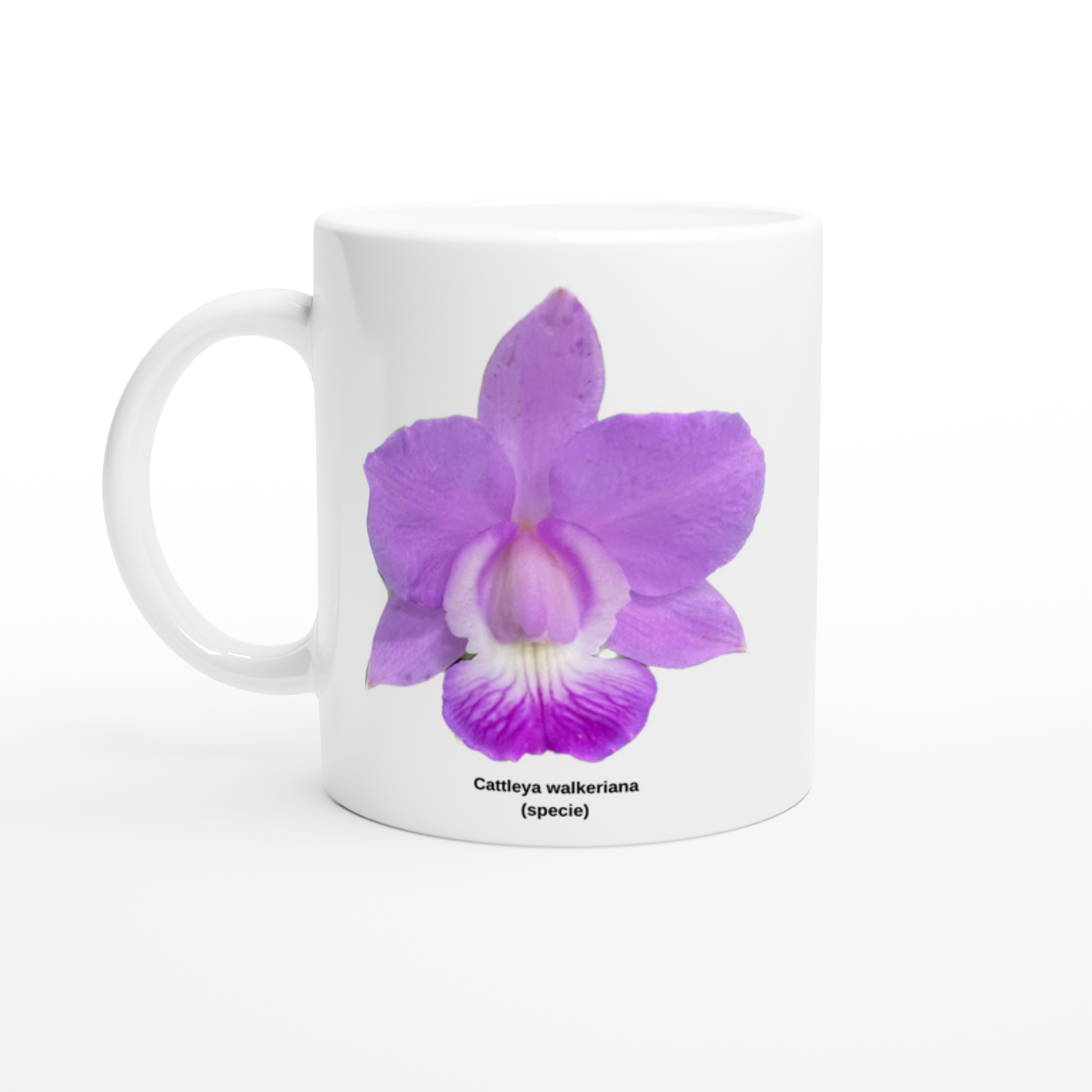 Cattleya walkeriana Orchid Coffee Mug