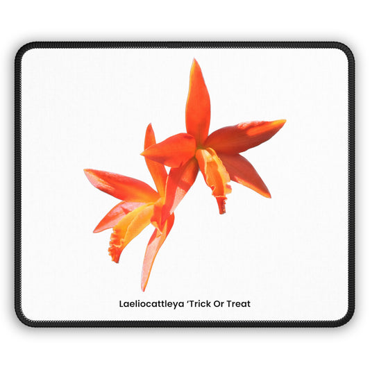 Laeliocattleya Trick Or Treat Orchid Mouse Pad