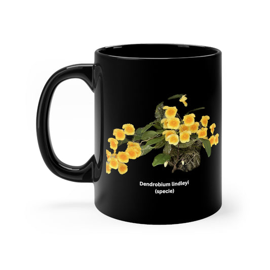 Dendrobium lindleyi Orchid Coffee Mug