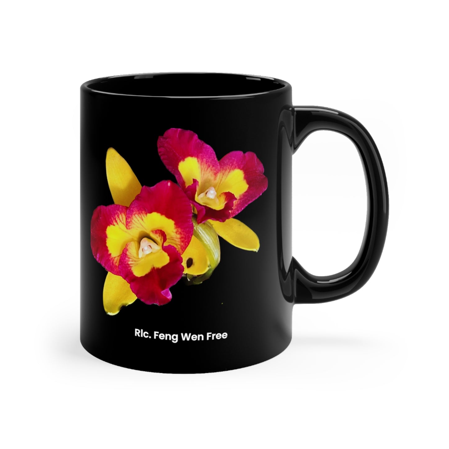 Rhyncattleanthe Feng Weng Free Orchid Mug