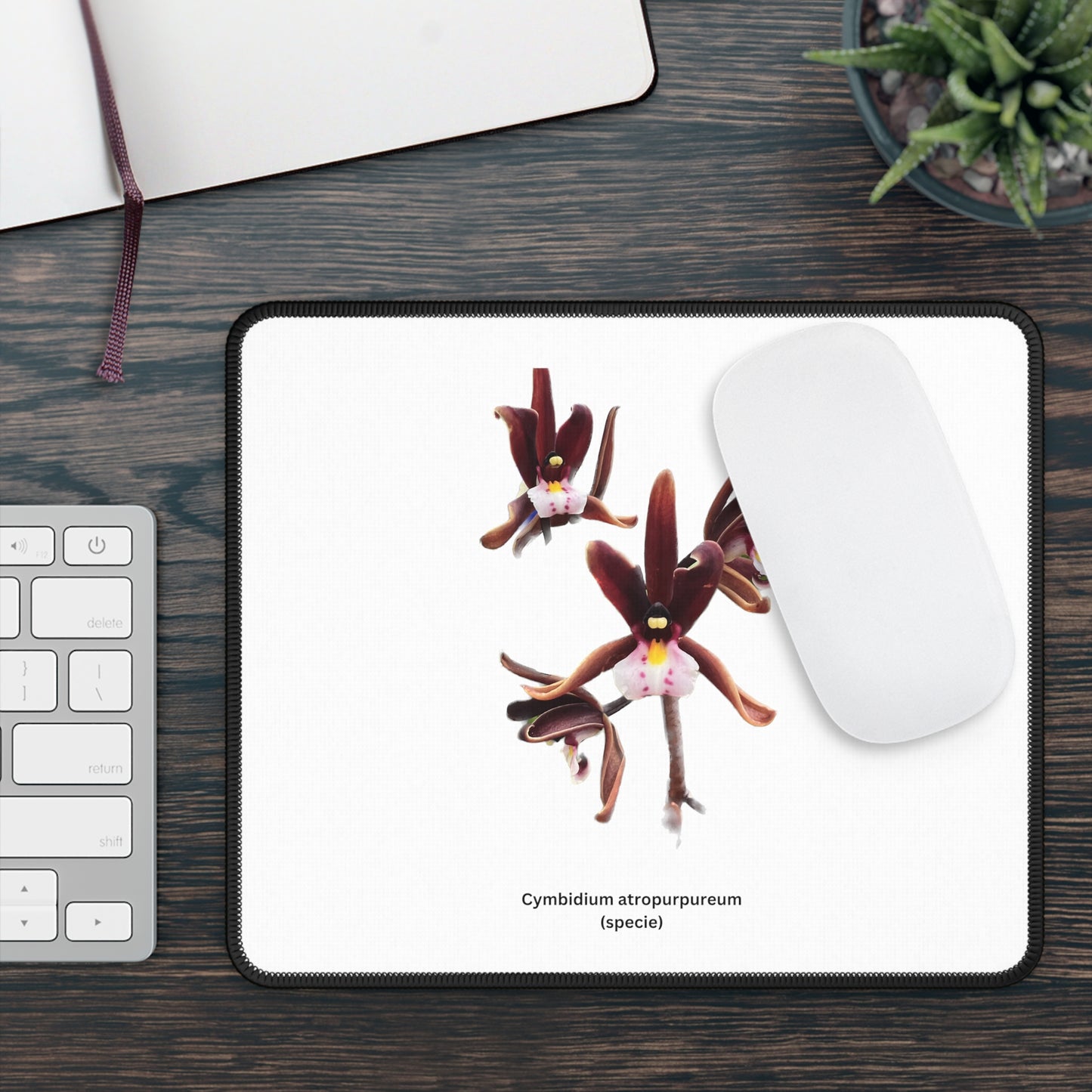 Cymbidium atropurpureum Orchid Mouse Pad