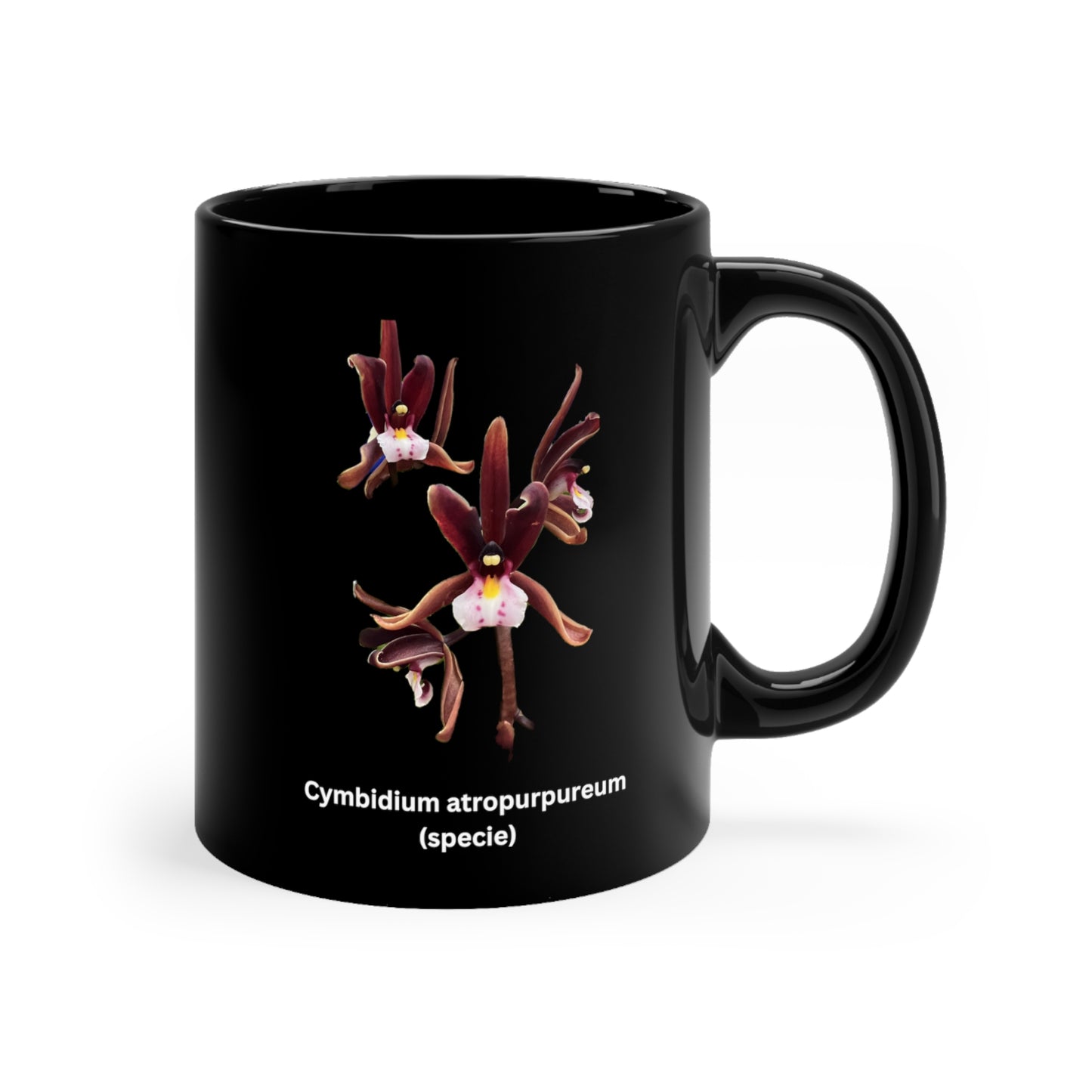 Cymbidium atropurpureum Orchid Coffee Mug