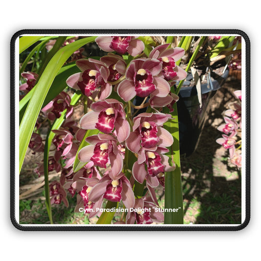 Cym. Paradisian Delight 'Stunner' Orchid Mouse Pad