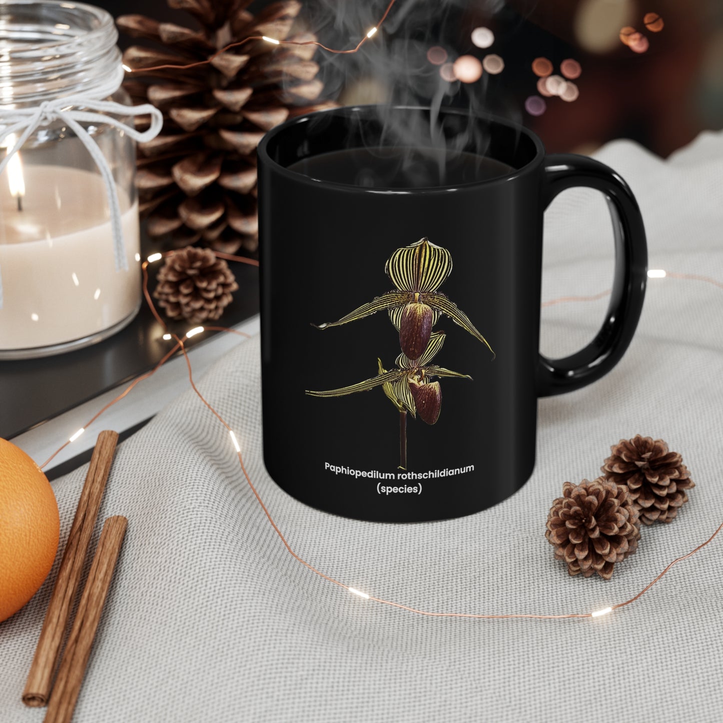 Paphiopedilum rothschildianum Orchid Coffee Mug