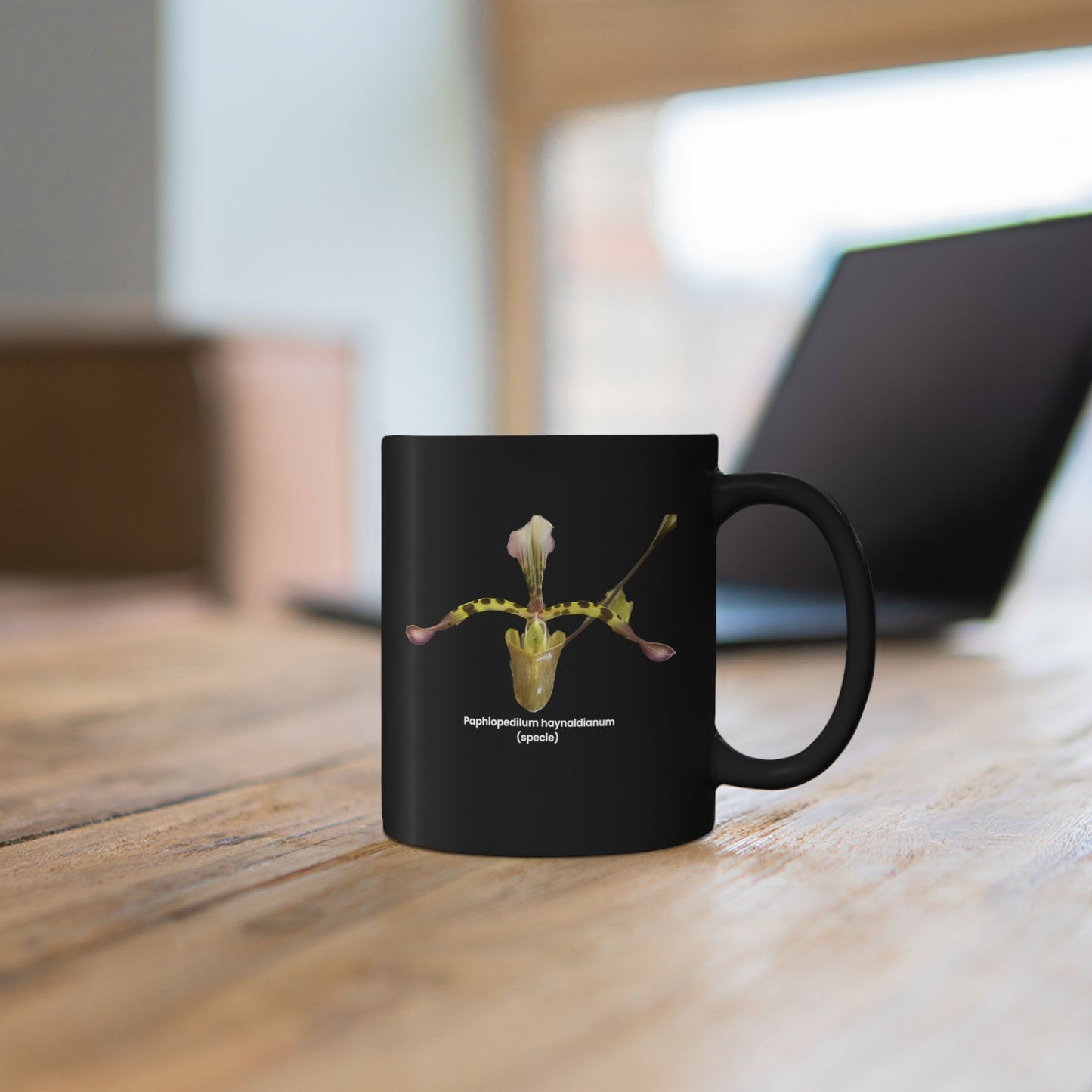 Paphiopedilum haynaldianum Orchid Coffee Mug