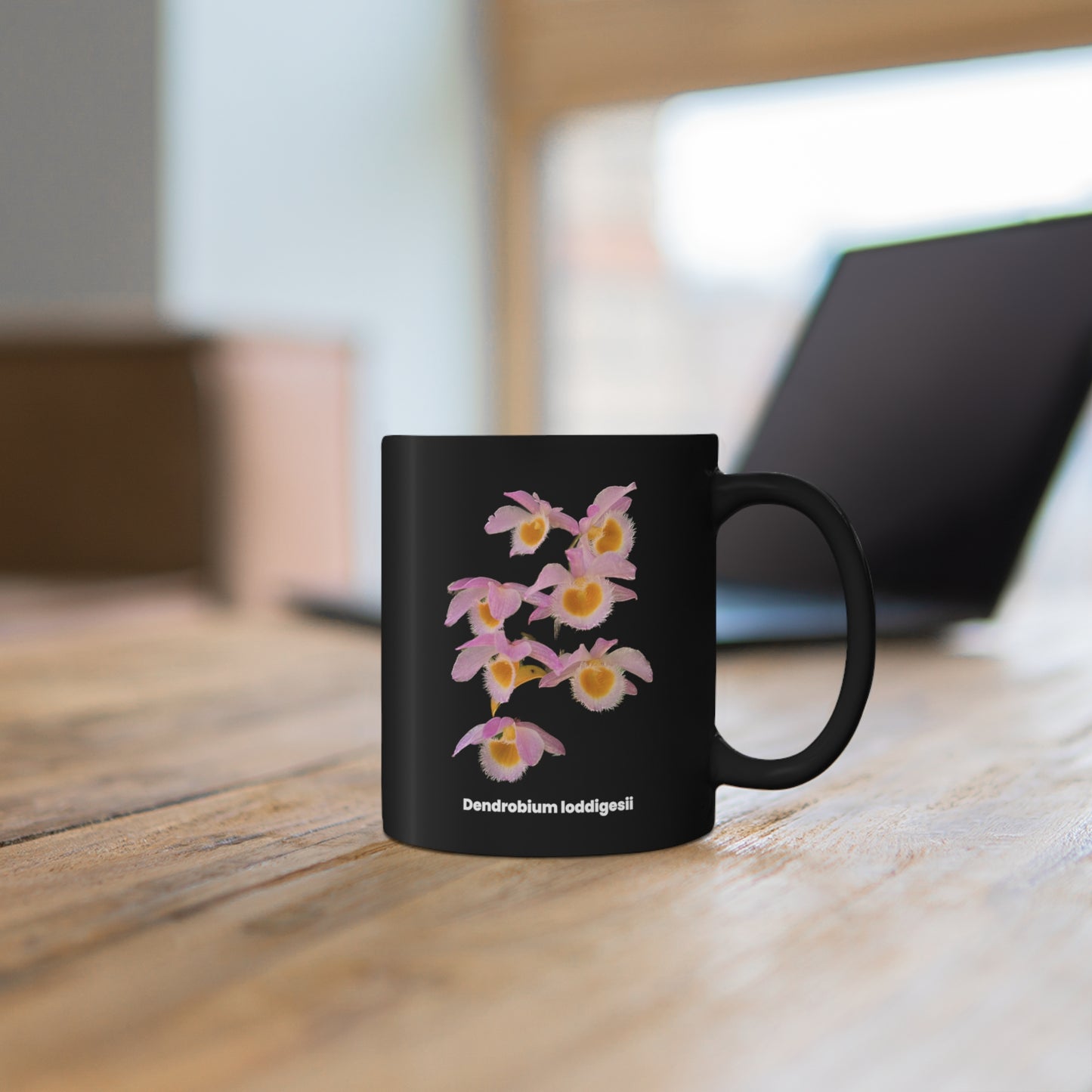 Dendrobium loddigesii Orchid Coffee Mug