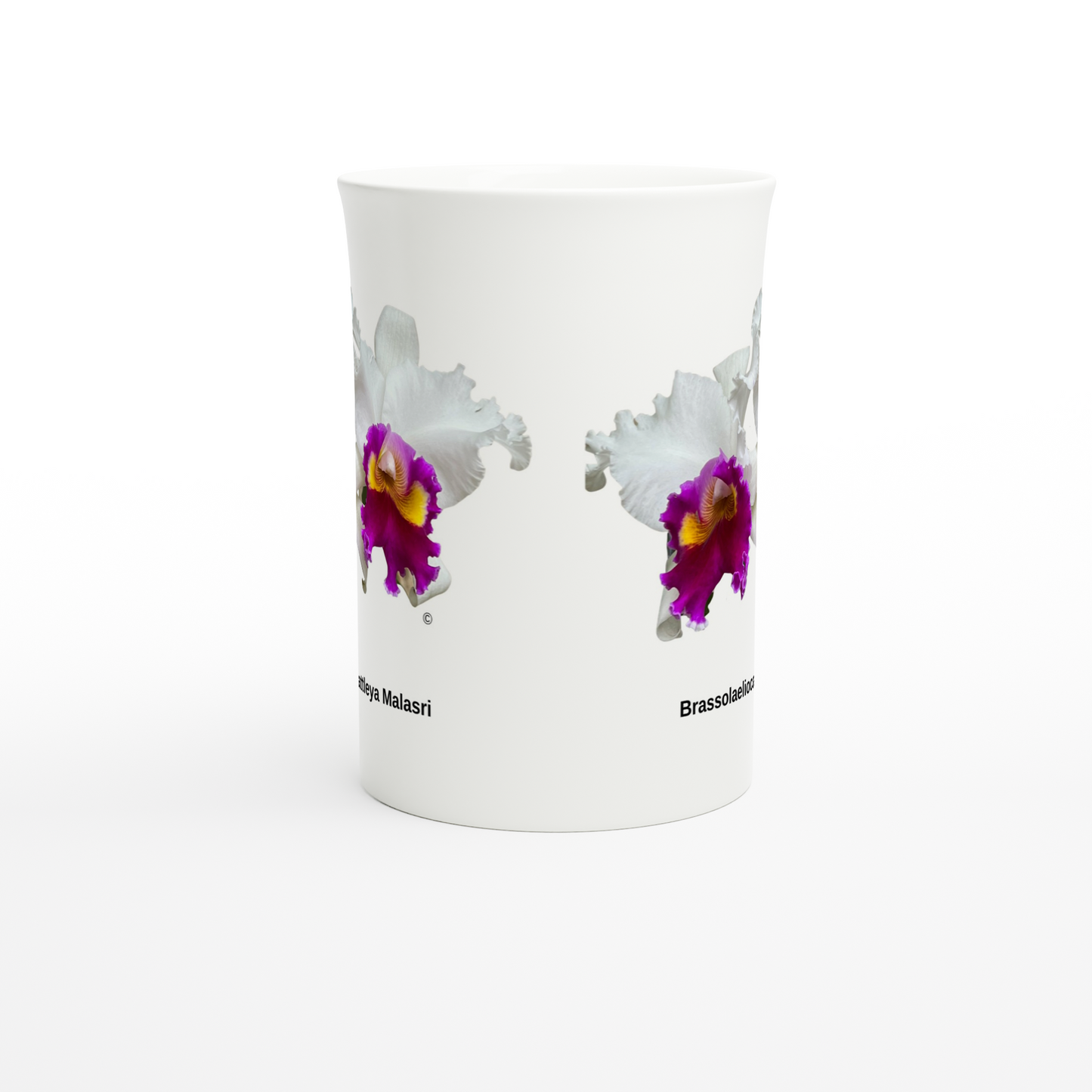 Brassolaeliocattleya Malasri Orchid Porcelain Mug