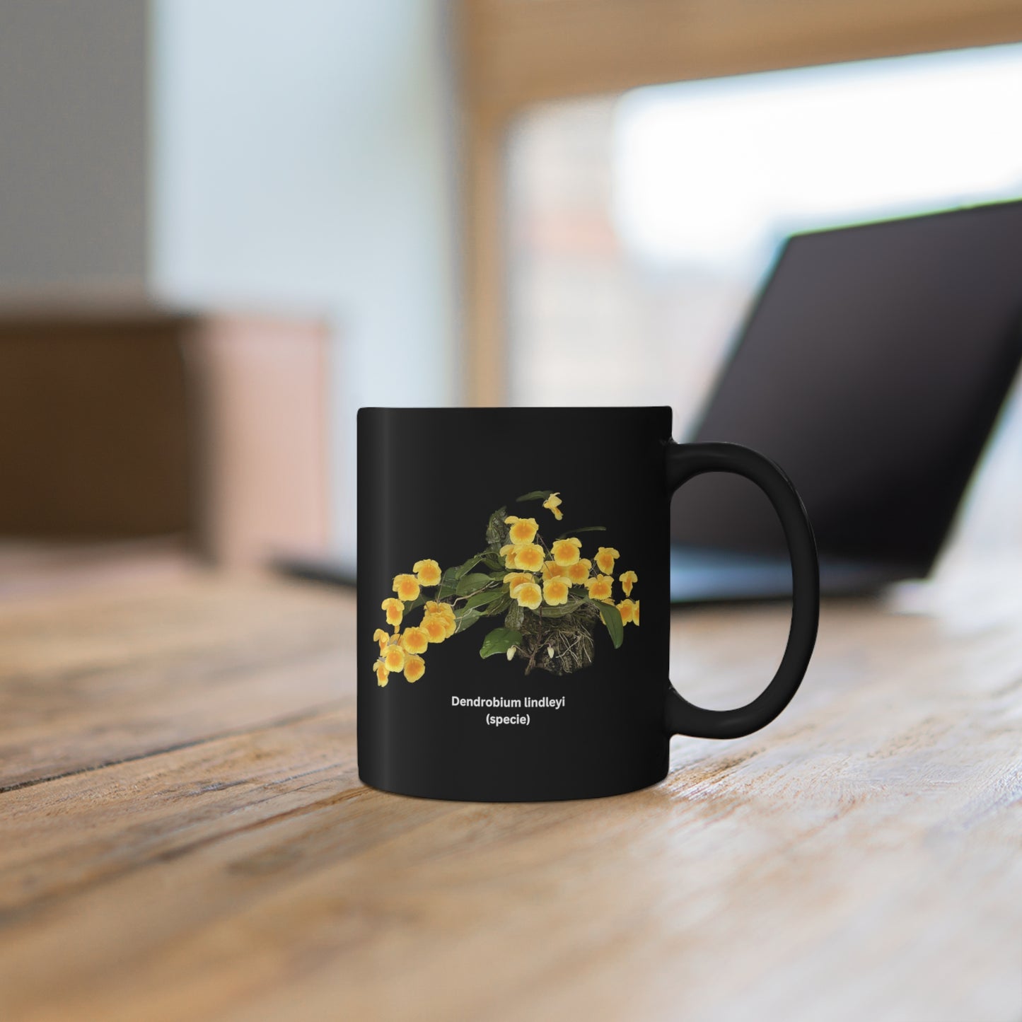 Dendrobium lindleyi Orchid Coffee Mug