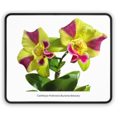 Cattleya Potinara Burana Beauty Orchid Mouse Pad