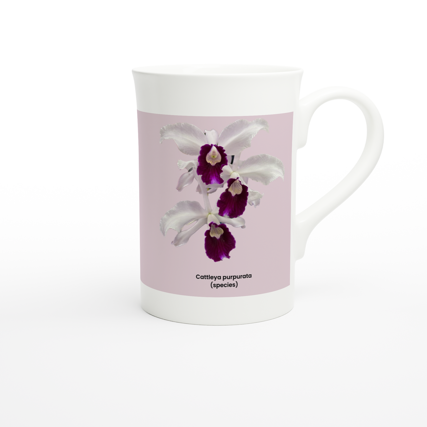 Cattleya purpurata Orchid Pink Porcelain Mug