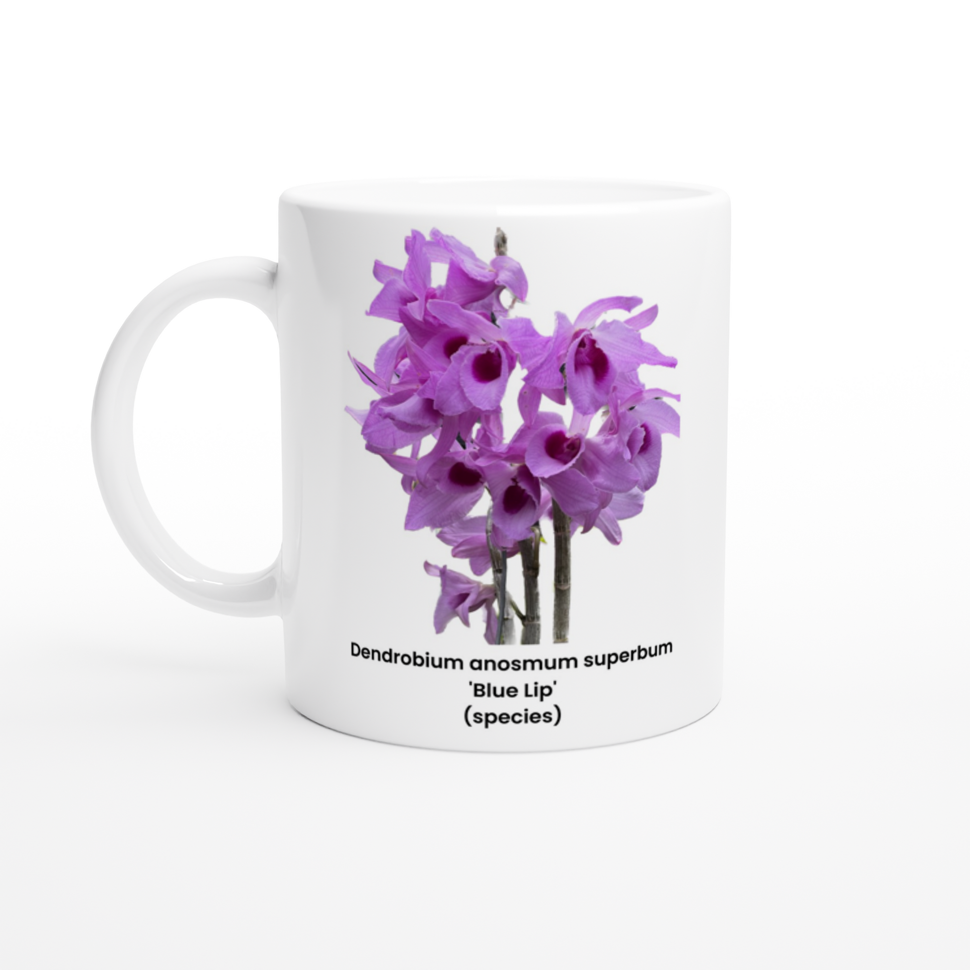 Dendrobium anosmum superbum 'Blue Lip' Orchid Coffee Mug