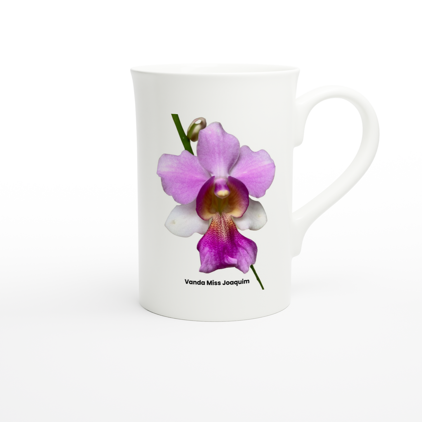 Vanda Miss Joaquim Orchid Porcelain Mug