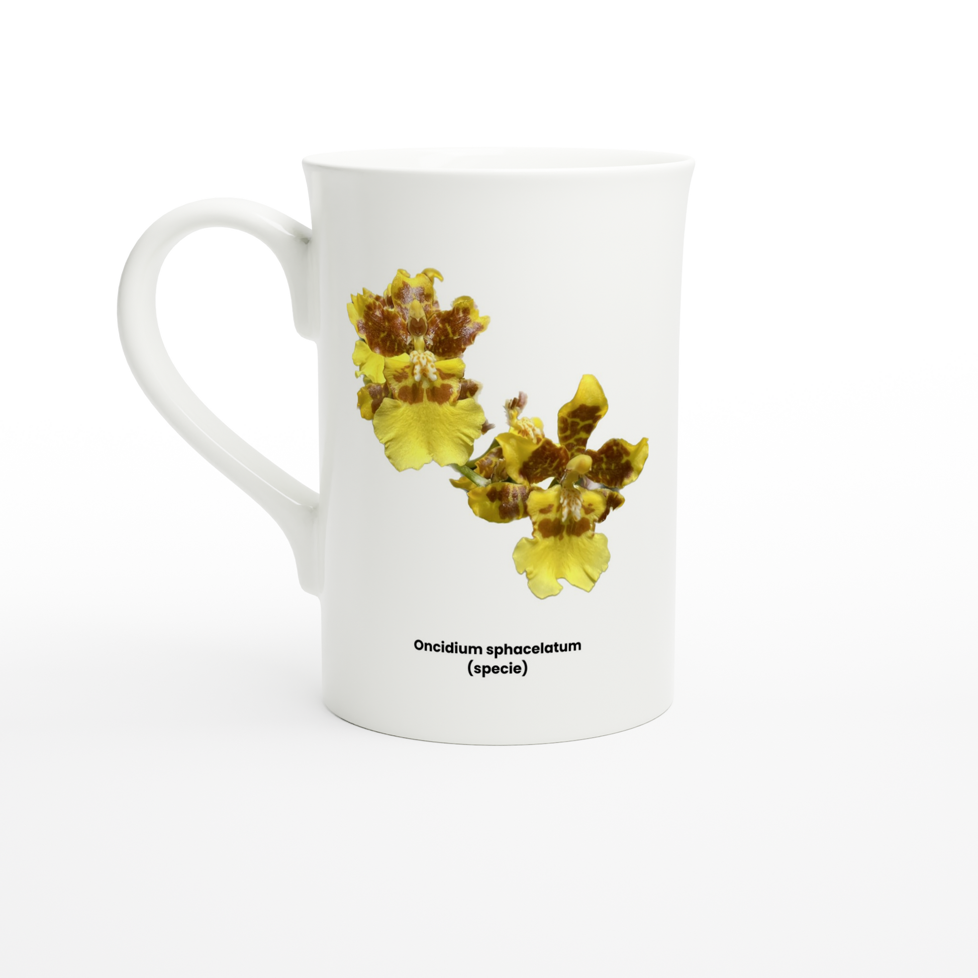 Oncidium sphacelatum Orchid Porcelain Mug