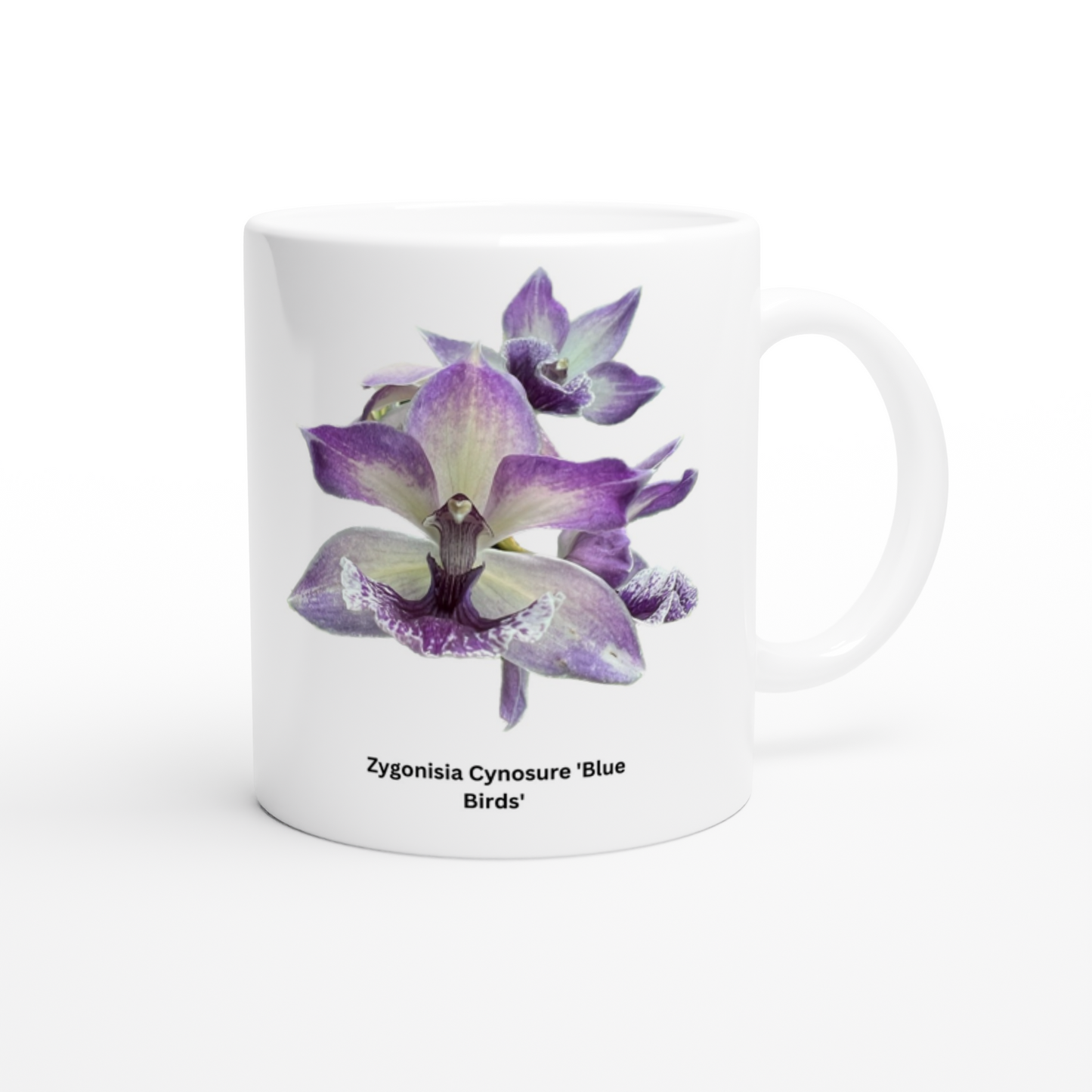 Zygonisia Cynosure 'Blue Bird' Orchid Coffee Mug