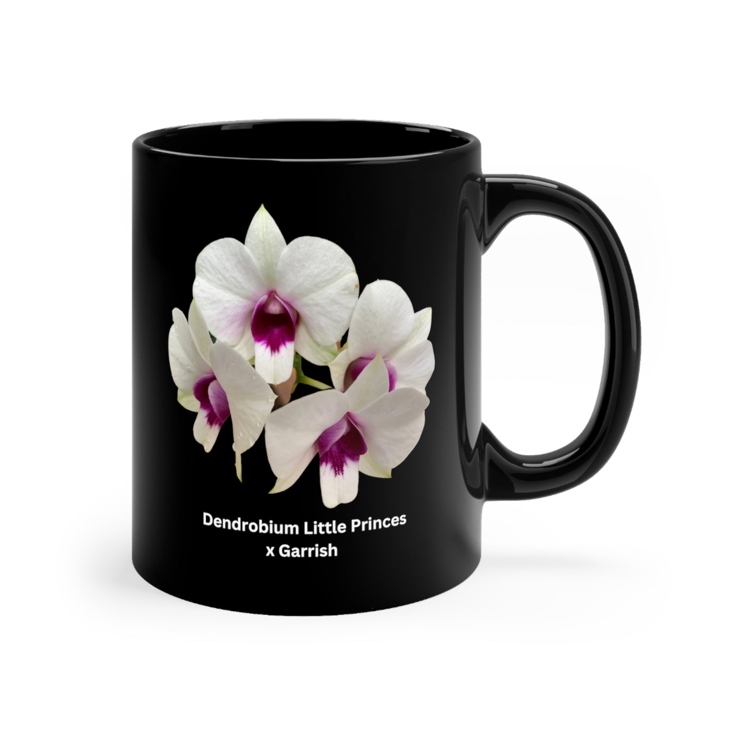 Dendrobium Little Princess x Garrish Orchid Coffee Mug