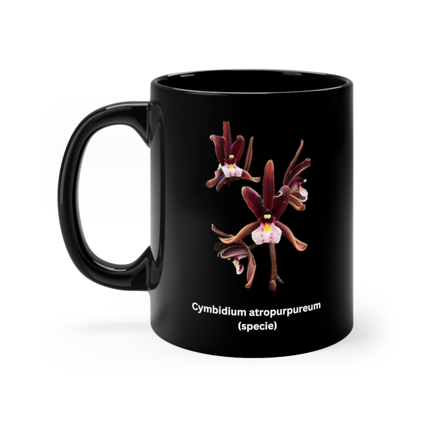 Cymbidium atropurpureum Orchid Coffee Mug