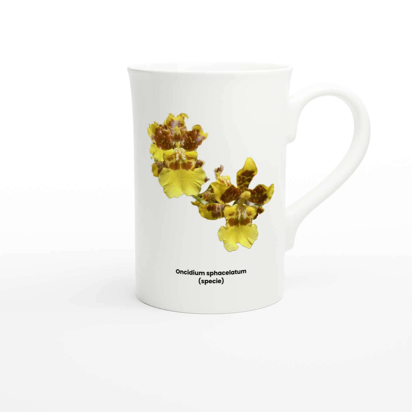 Oncidium sphacelatum Orchid Porcelain Mug