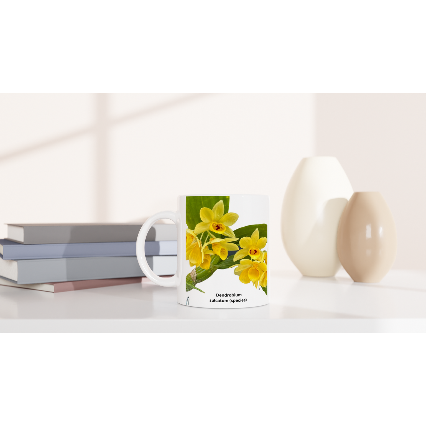 Dendrobium Sulcatum Orchid Coffee Mug