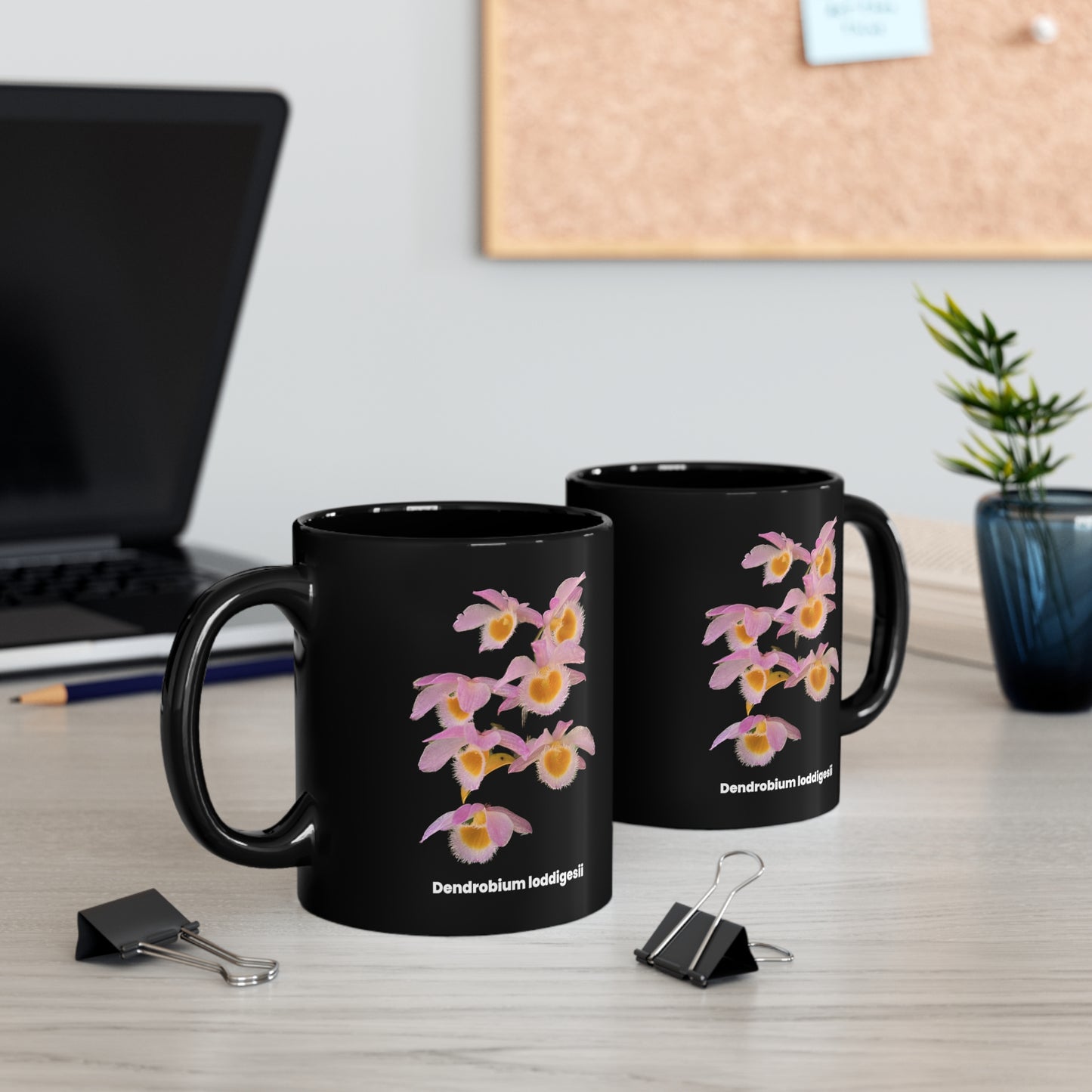 Dendrobium loddigesii Orchid Coffee Mug