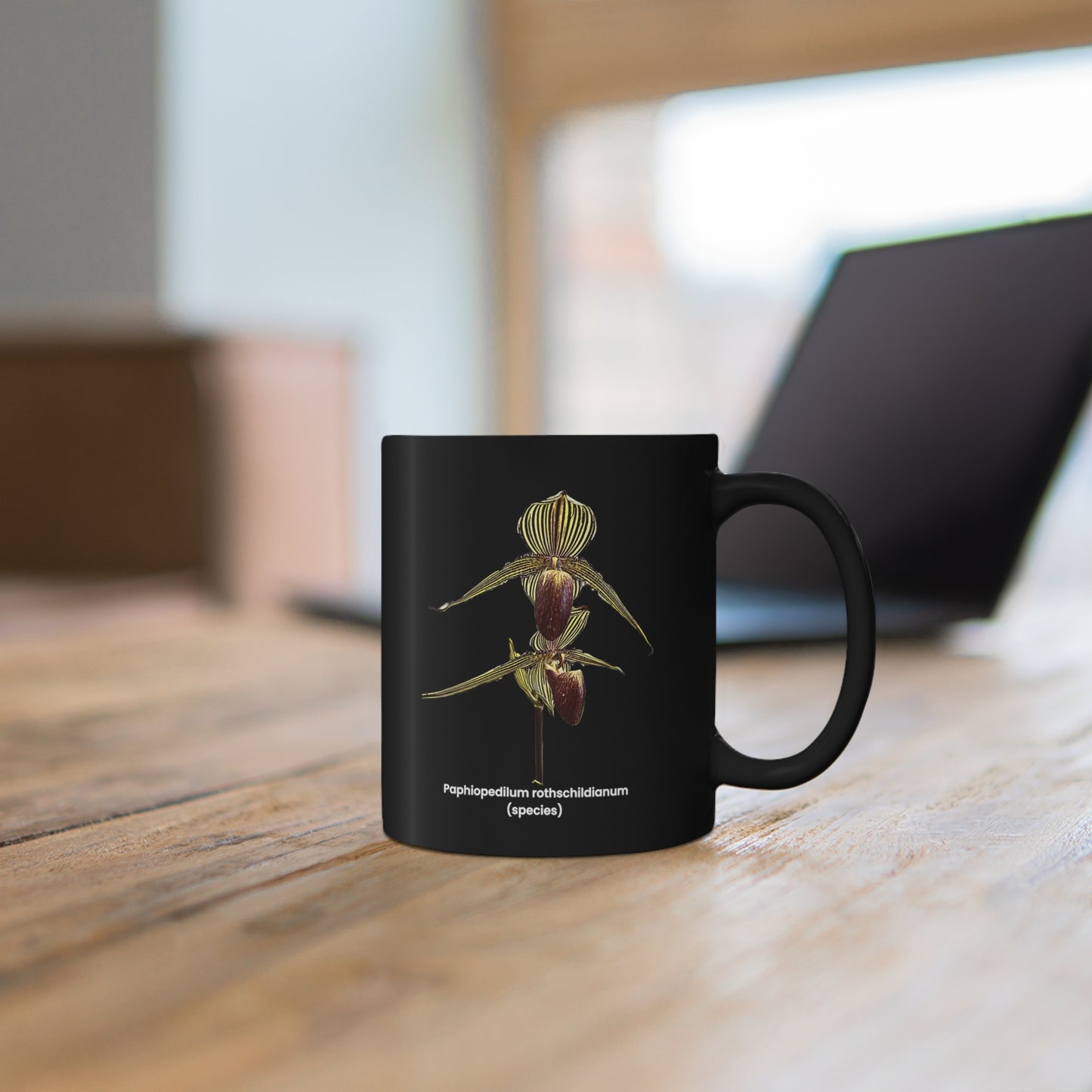 Paphiopedilum rothschildianum Orchid Coffee Mug