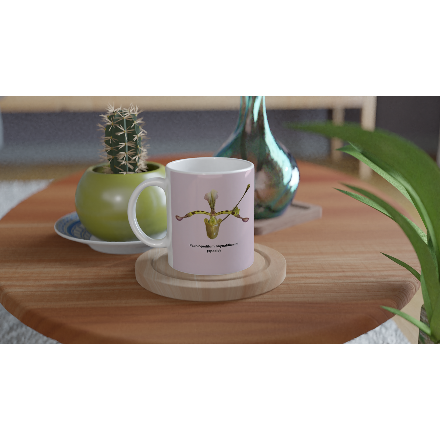 Paphiopedilum haynaldianum Orchid Pink Coffee Mug