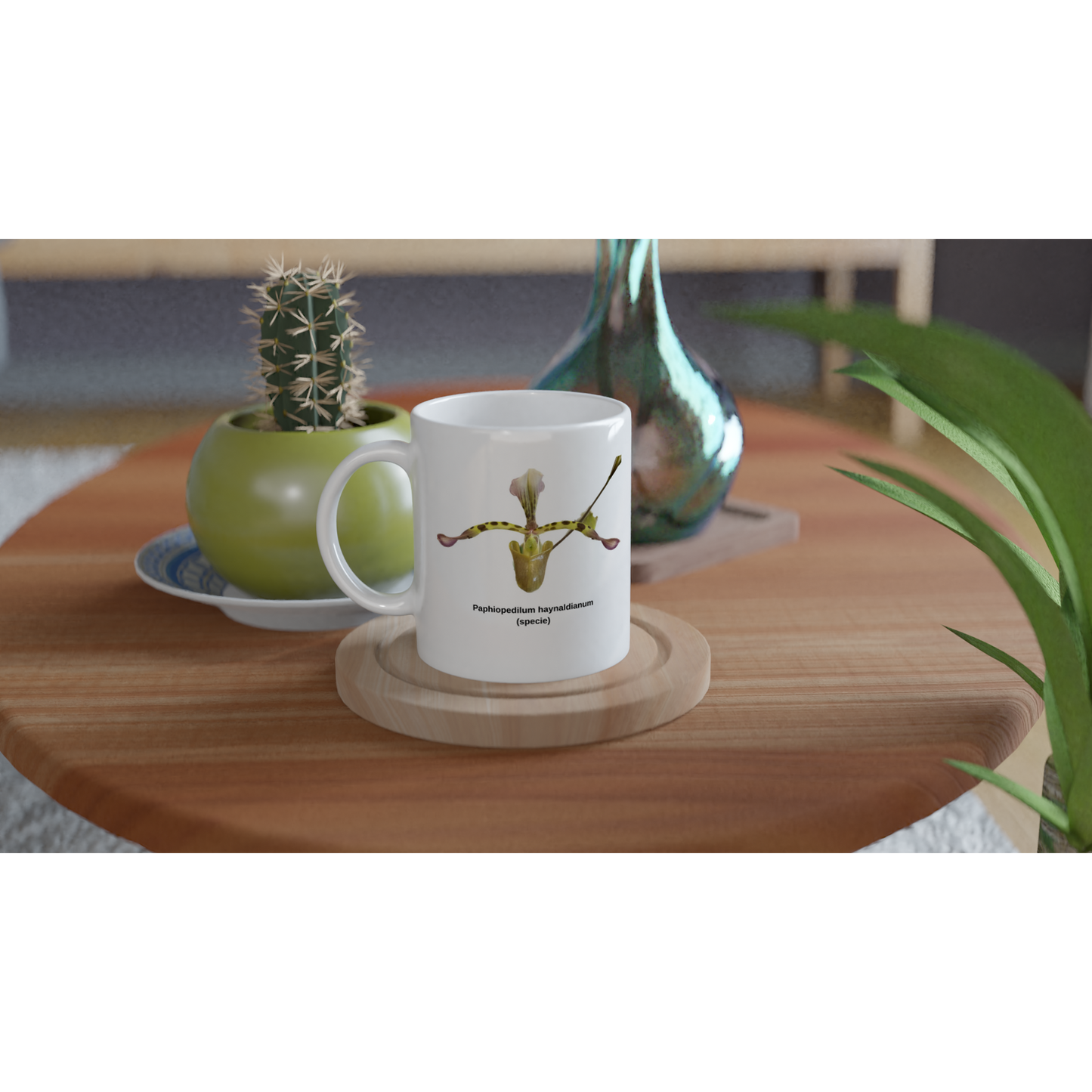 Paphiopedilum haynaldianum Orchid Coffee Mug