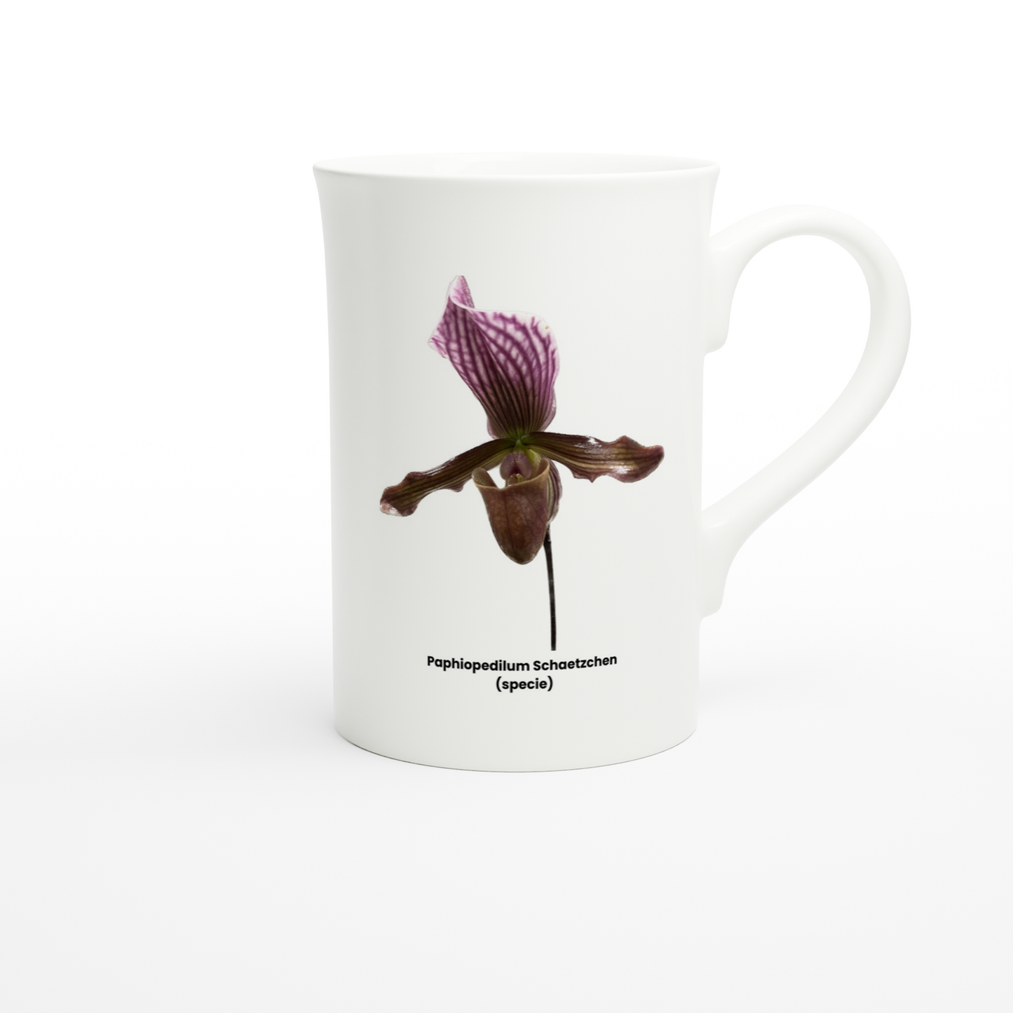 Paphiopedilum Schaetzchen Orchid Porcelain Mug