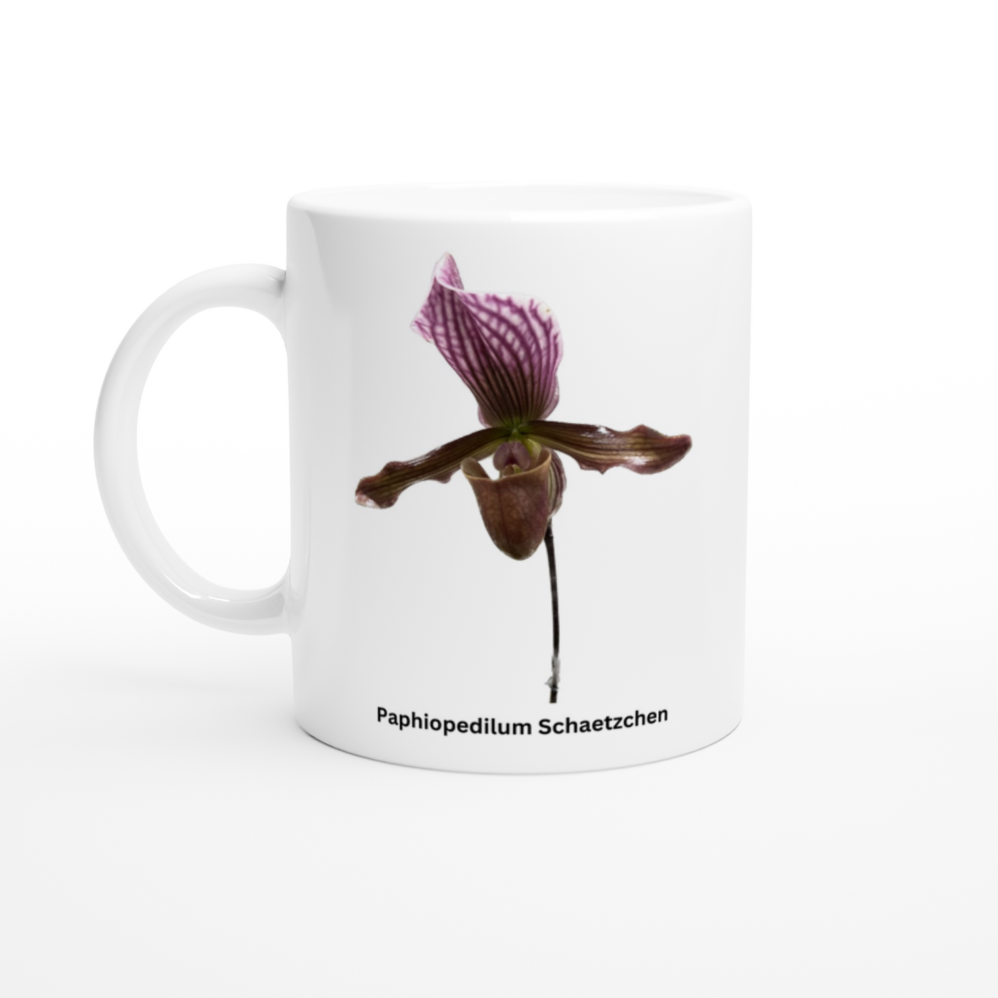 Paphiopedilum Schaetzchen Orchid Coffee Mug