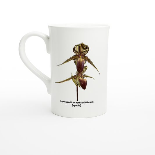 Paphiopedilum rothschildianum Orchid Porcelain Mug