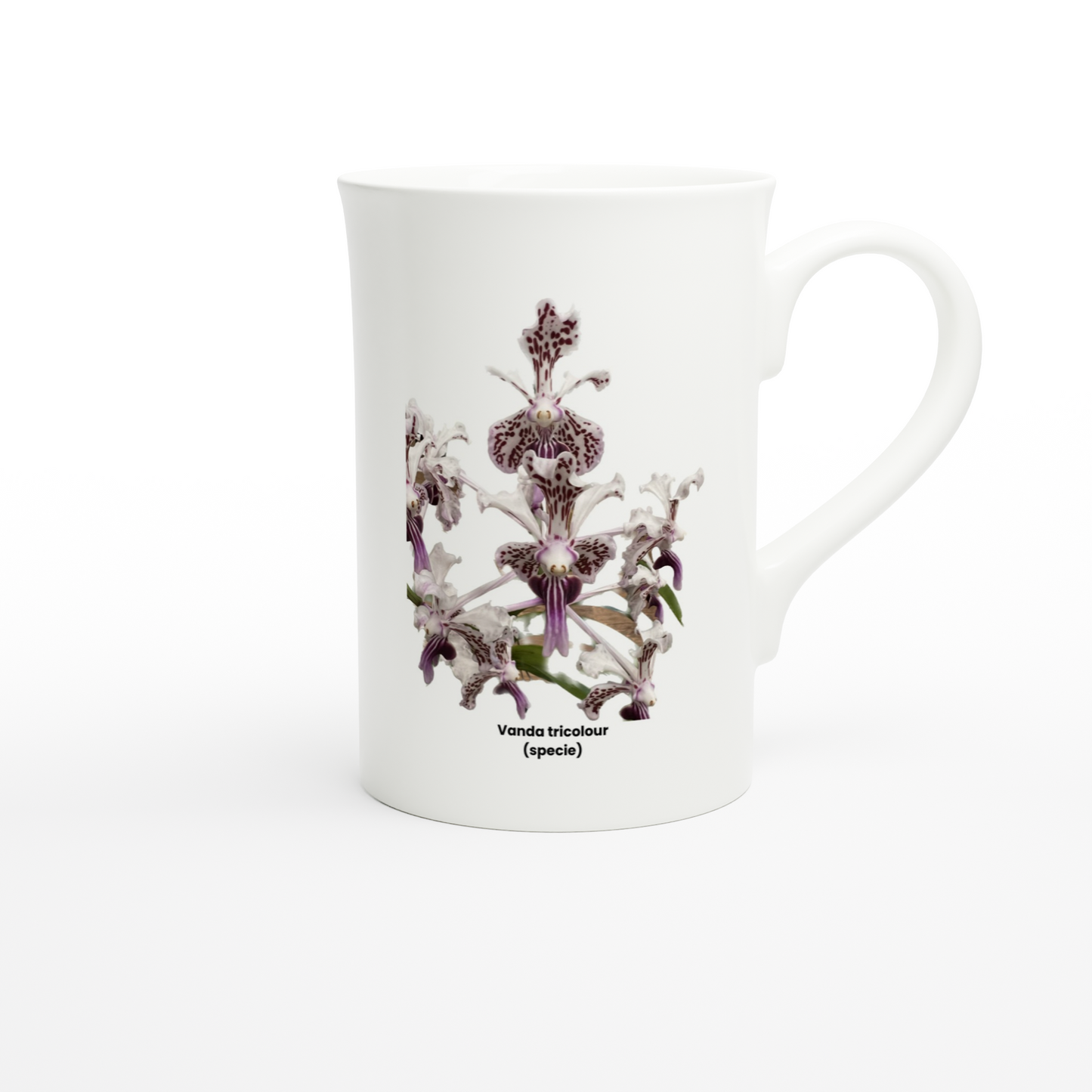 Vanda tricolor Orchid Porcelain Mug