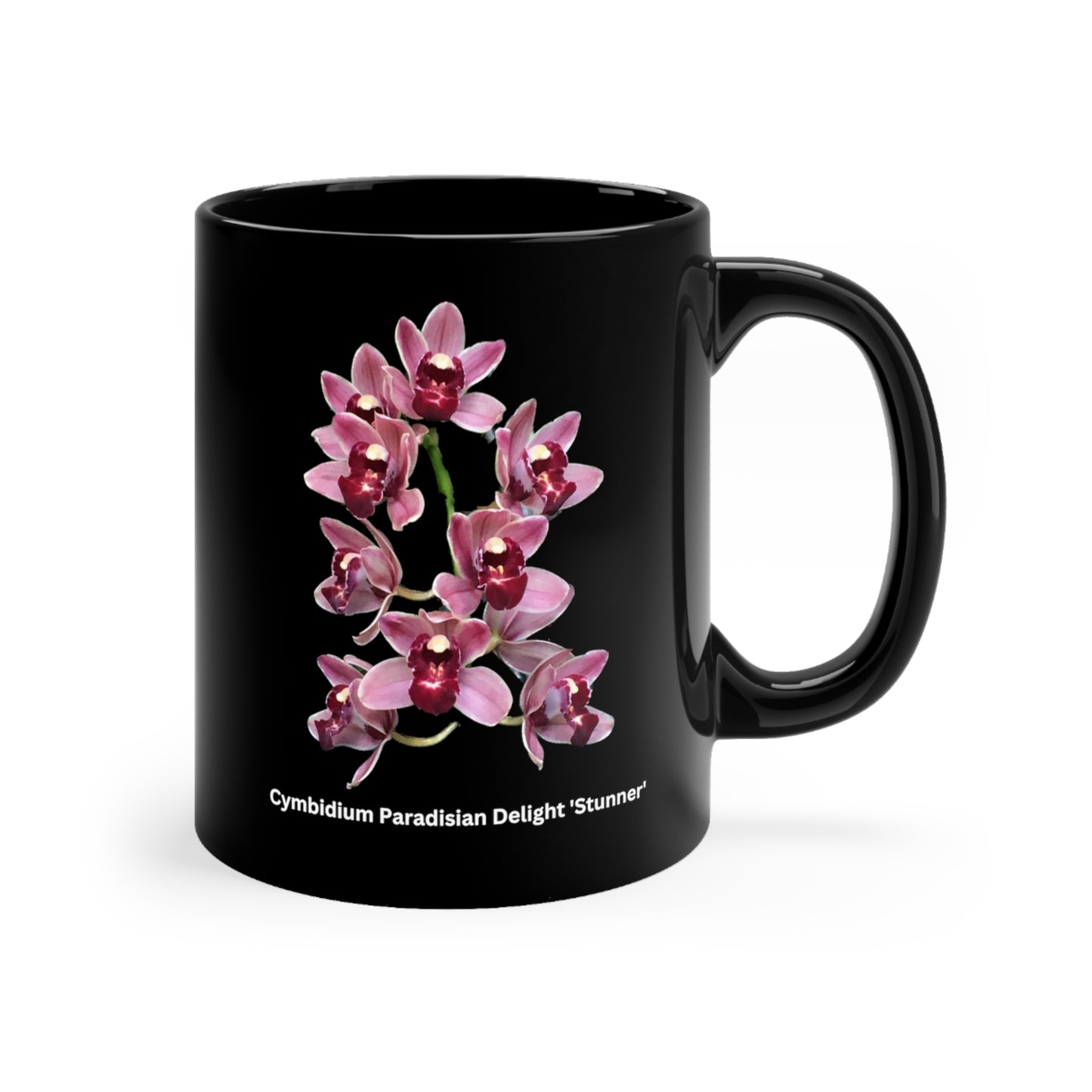 Cymbidium Paradisian Delight 'Stunner' Orchid Coffee Mug