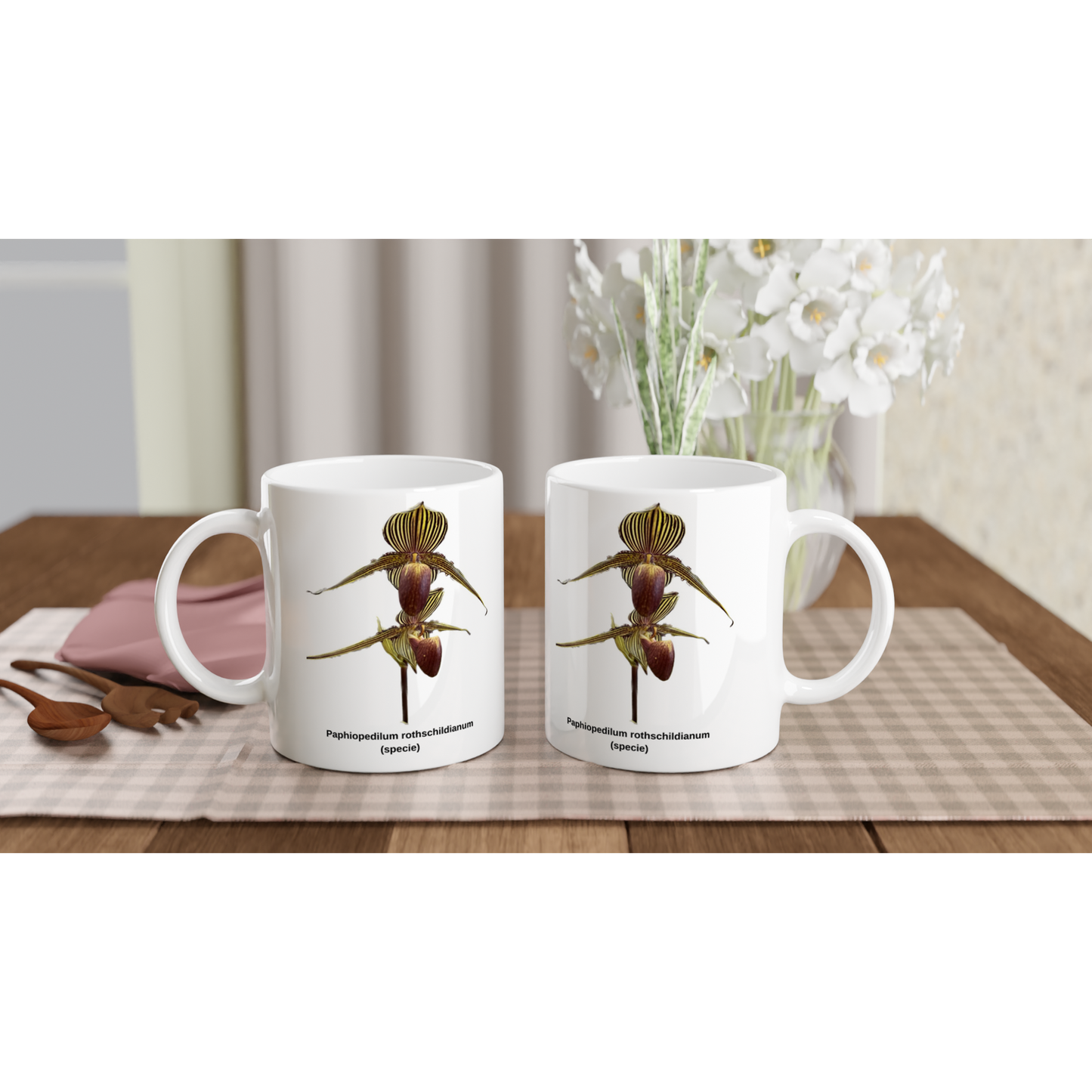 Paphiopedilum rothschildianum Orchid Coffee Mug