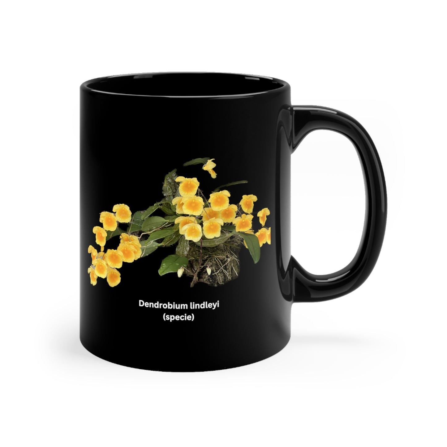 Dendrobium lindleyi Orchid Coffee Mug