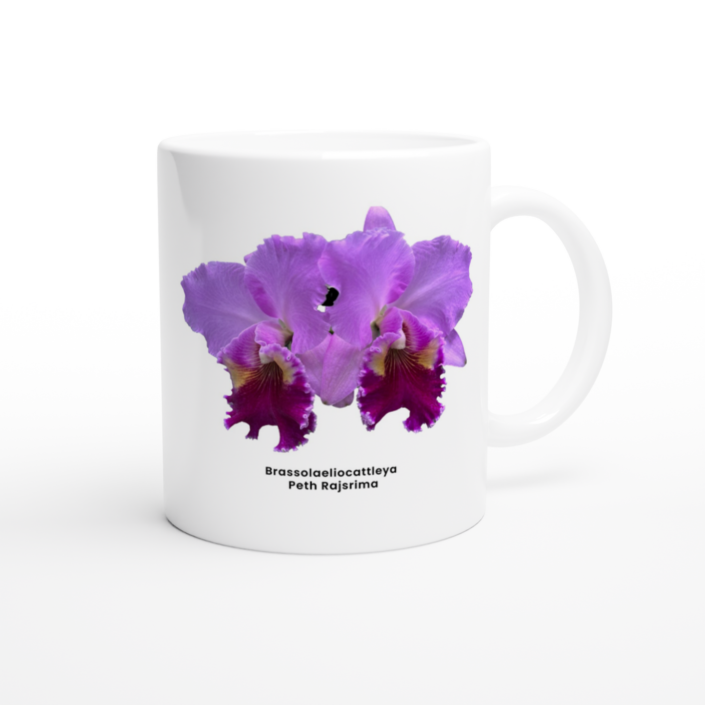 Brassolaeliocattleya Peth Rasjrima Orchid Coffee Mug