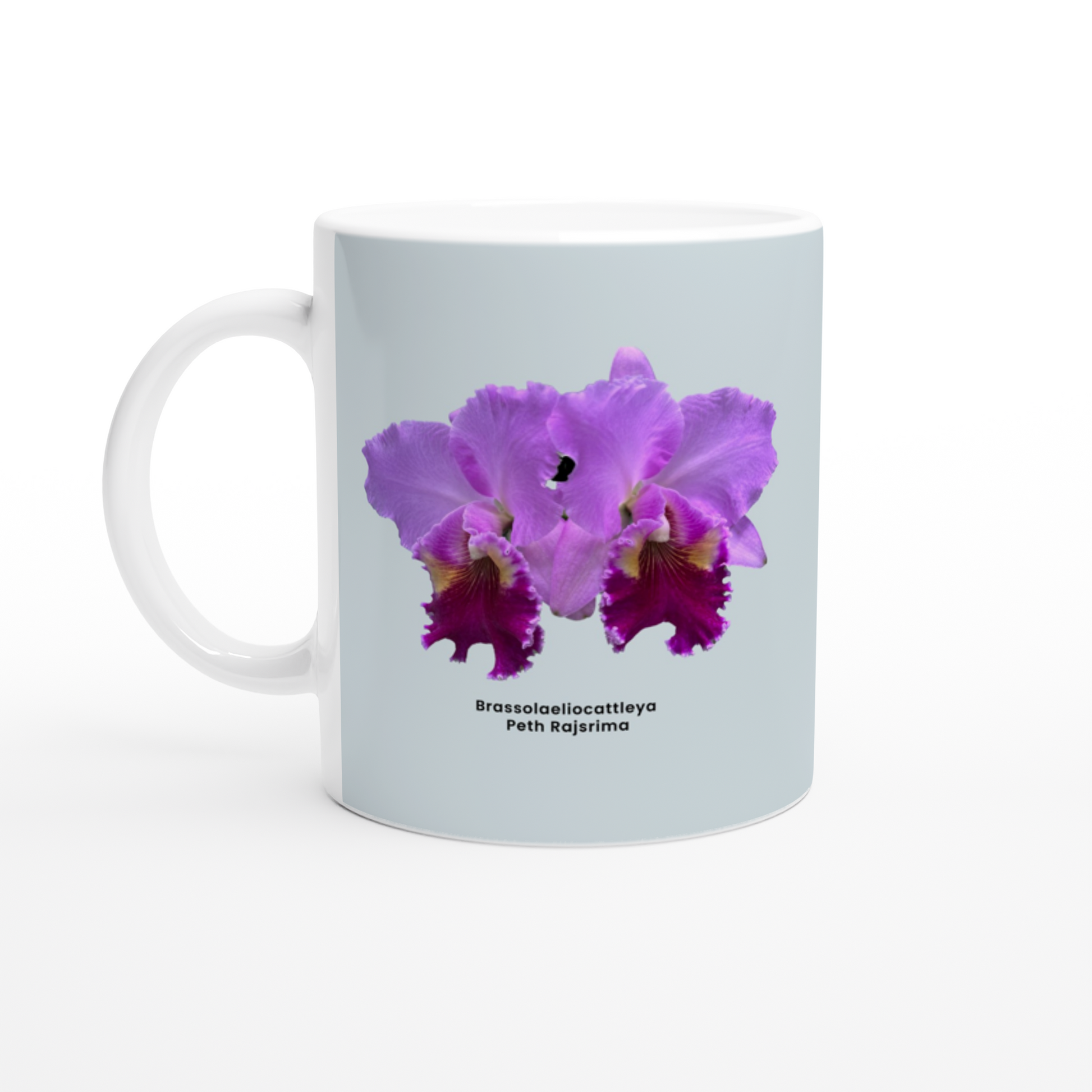 Brassolaeliocattleya Peth Rasjrima Orchid Blue Coffee Mug