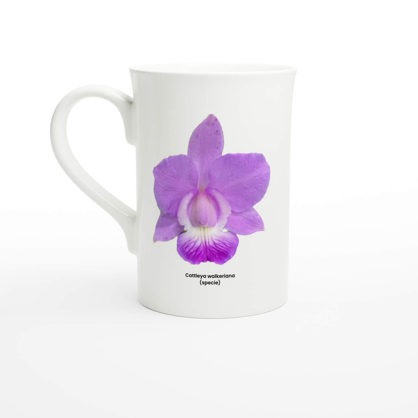 Cattleya walkeriana Orchid Porcelain Mug