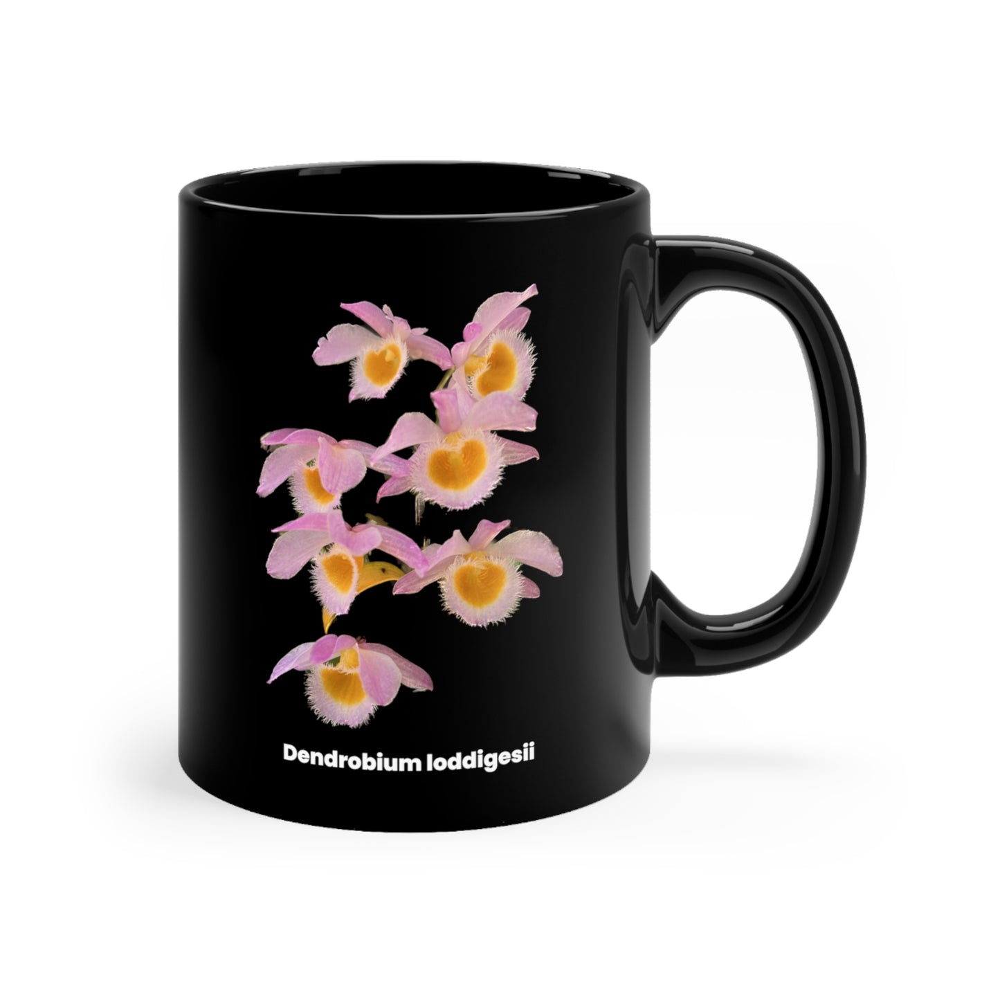 Dendrobium loddigesii Orchid Coffee Mug