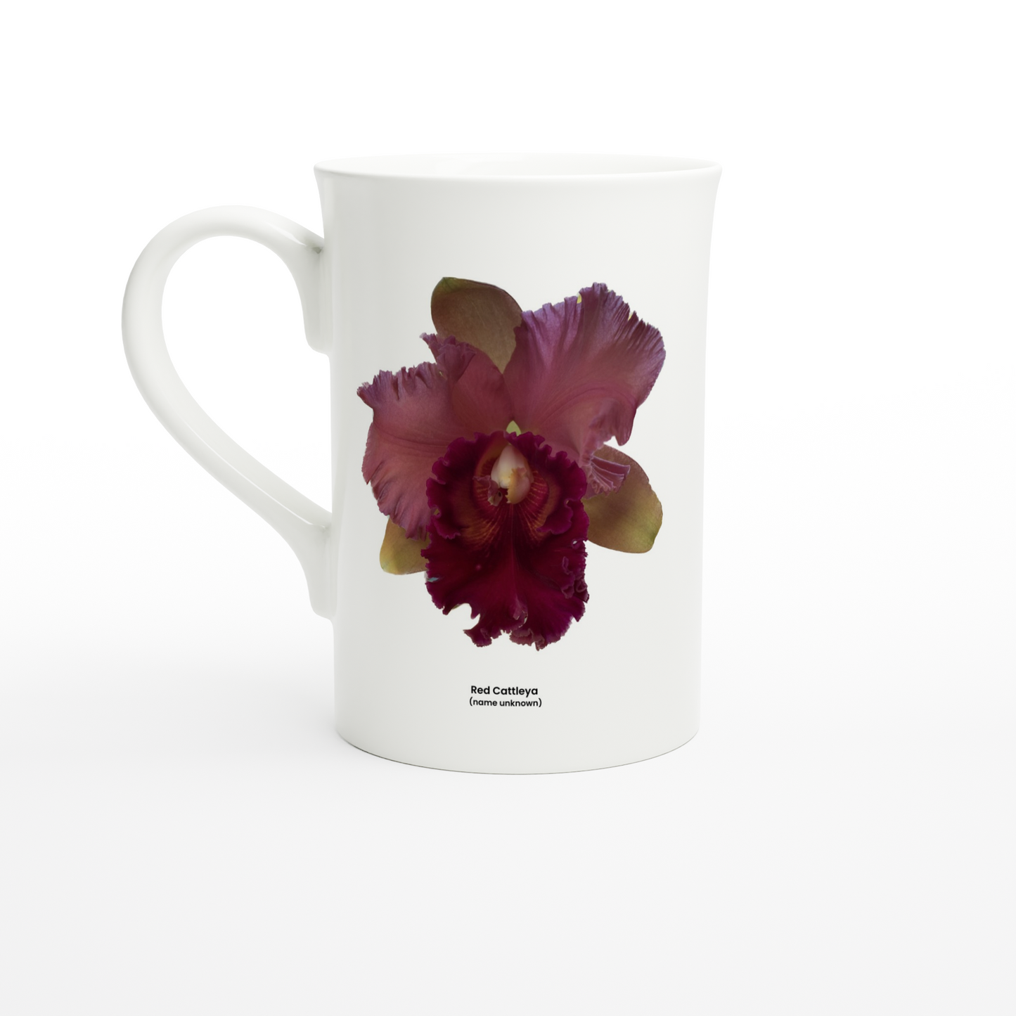 Cattleya Orchid Porcelain Mug