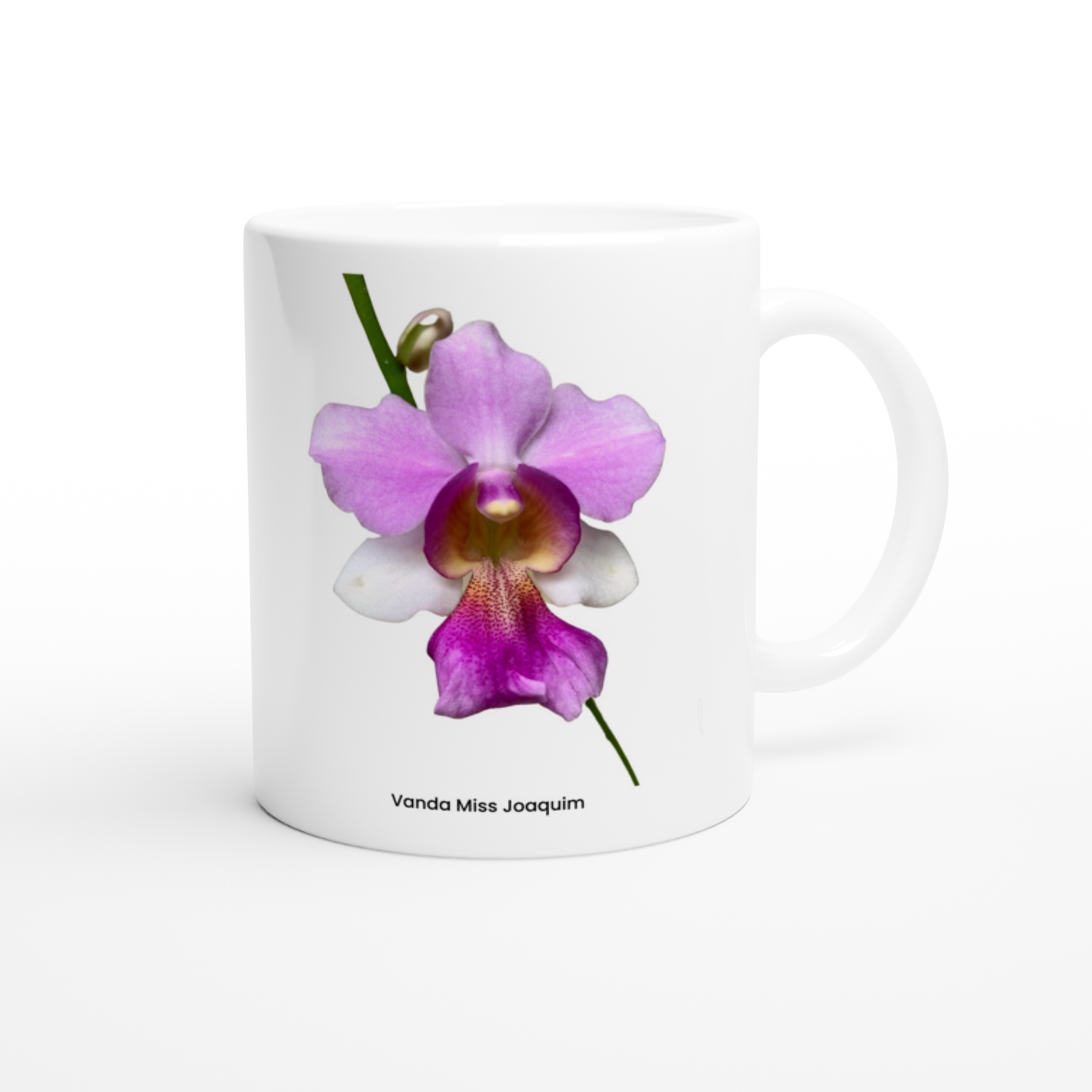 Vanda Miss Joaquim Orchid Coffee Mug