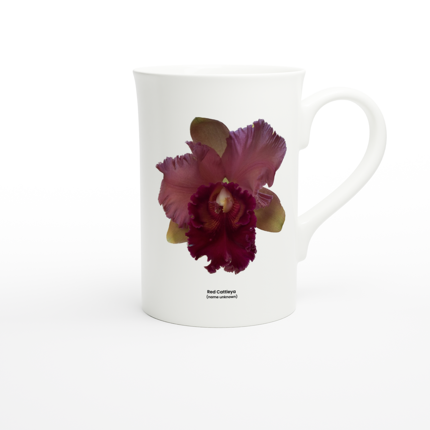 Cattleya Orchid Porcelain Mug