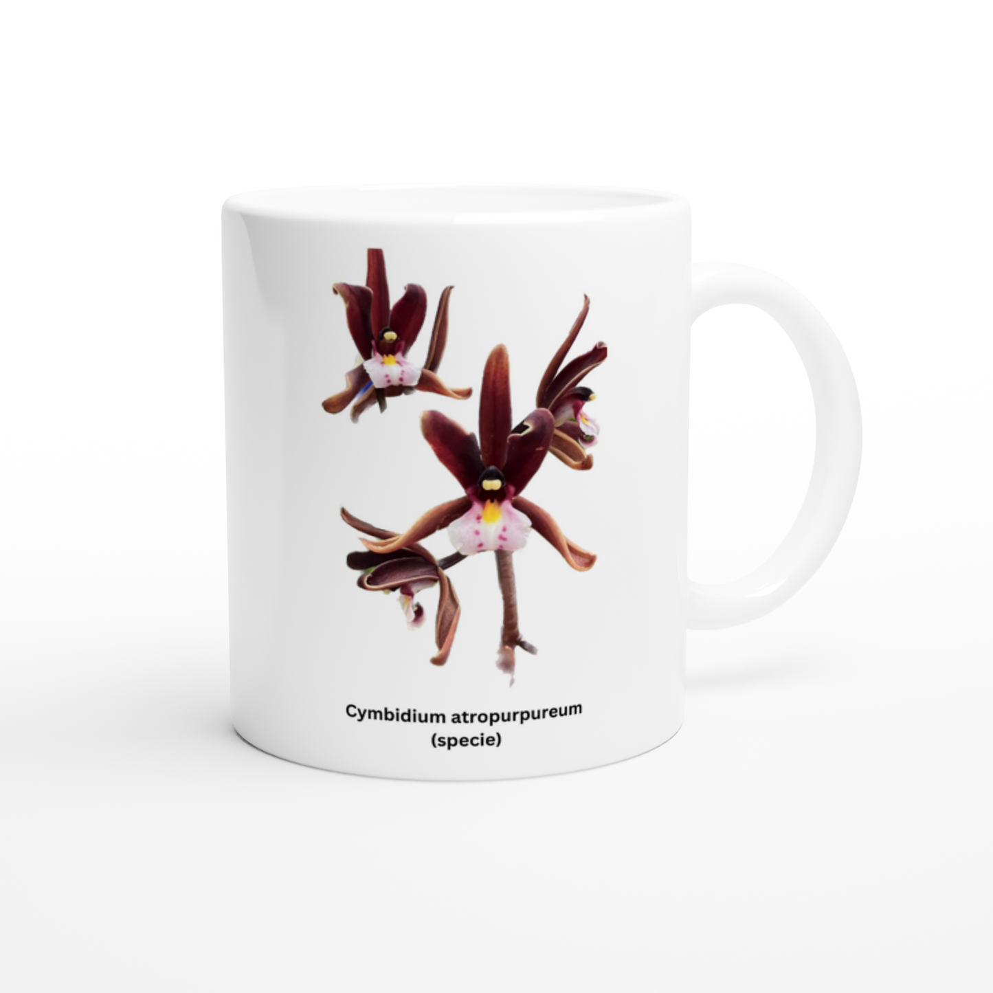 Cymbidium atropurpureum Orchid Coffee Mug