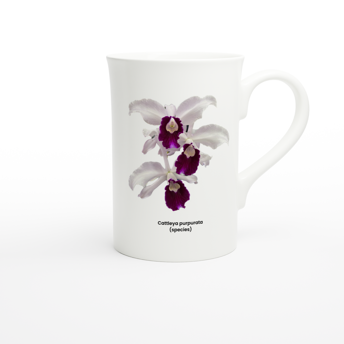 Cattleya purpurata Orchid Porcelain Mug