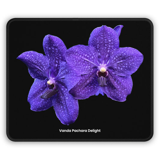 Vanda Pachara Delight Orchid Black Mouse Pad