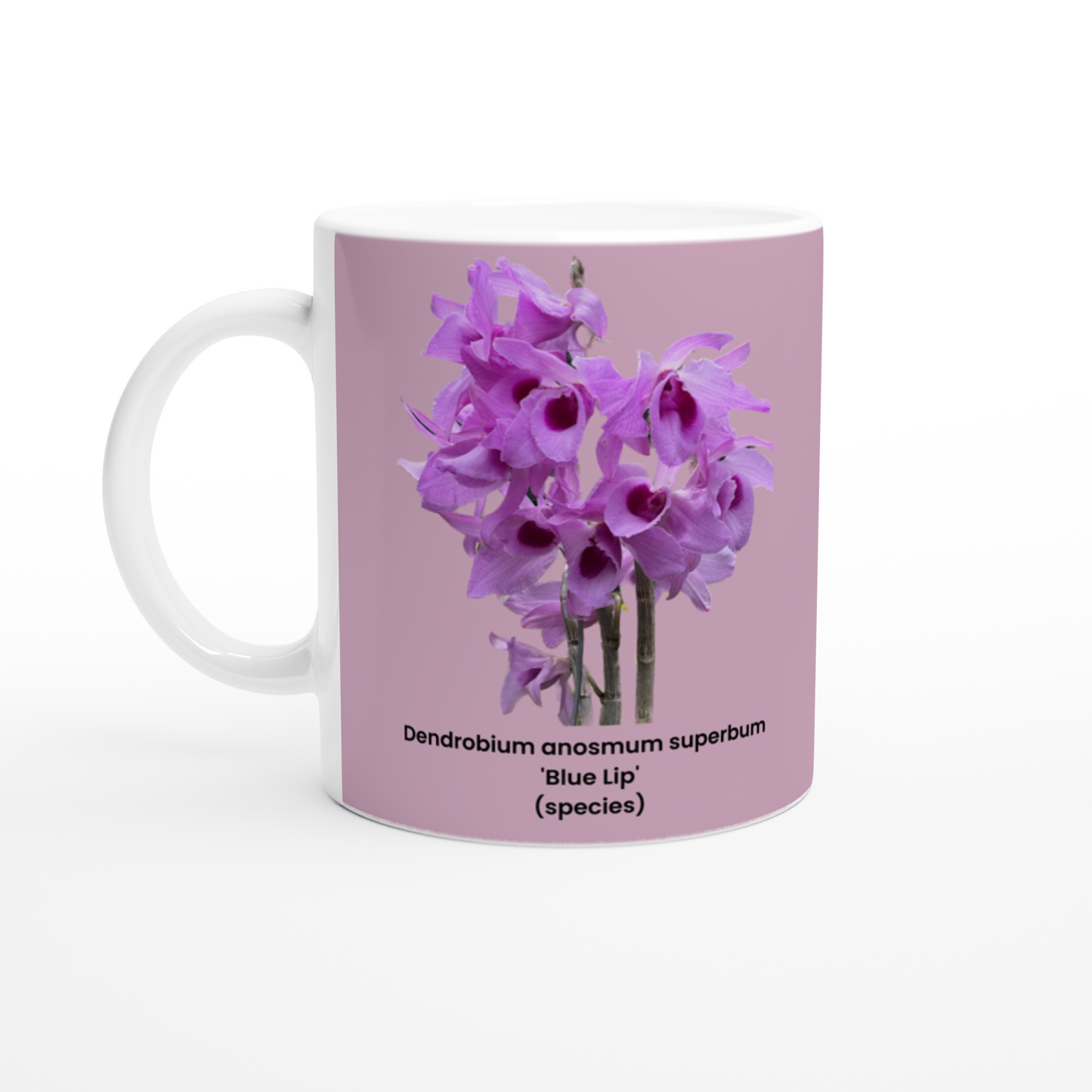 Dendrobium anosmum superbum 'Blue Lip' Orchid Pink Coffee Mug