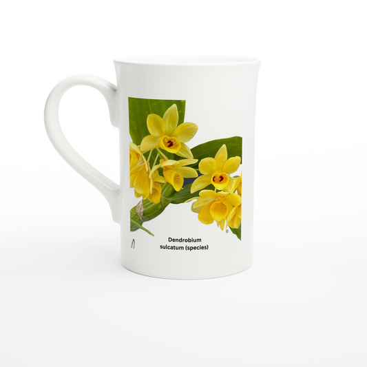 Dendrobium Sulcatum Orchid Porcelain Mug